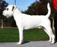 Fillmore O'Connor