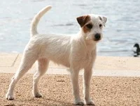 Bundle of Joy von Contessa