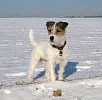 Hunting Hazel von der Grenzsägmühle